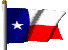 TexasStateFlag