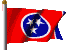TennesseeStateflag